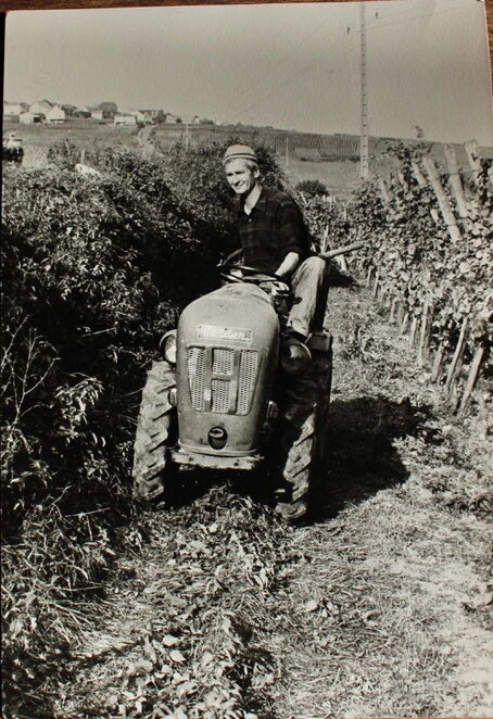 Gammelt fotografi: traktoren ude i vinmarken.