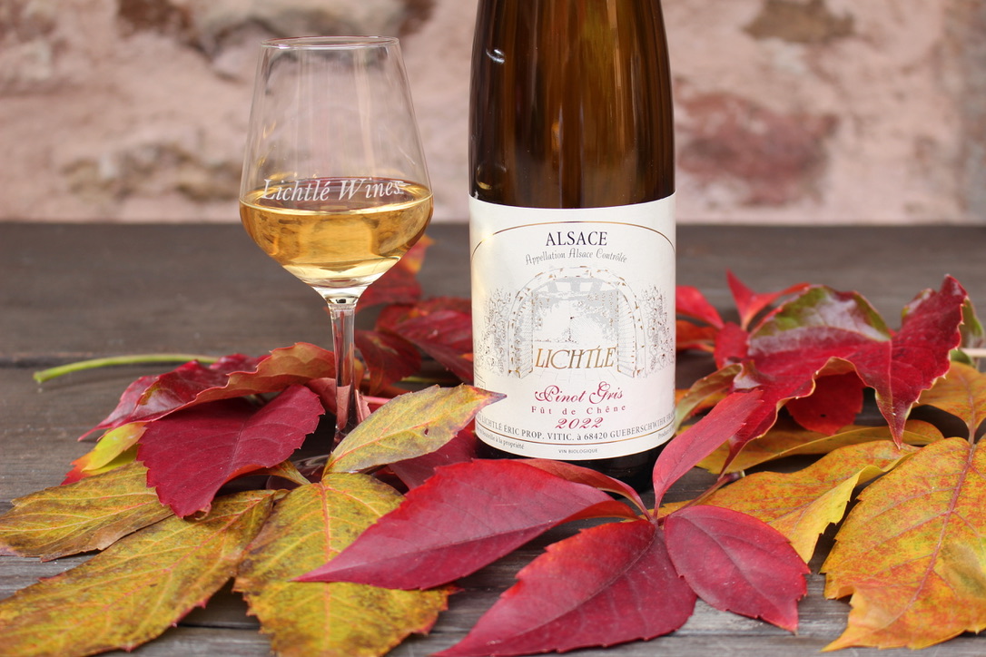 595CB443-C7E8-4093-8EC7-41C200E6655B_1_105_c